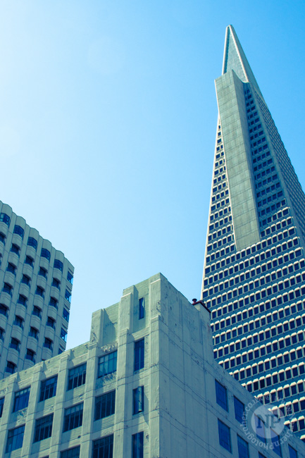 The Transamerica Building