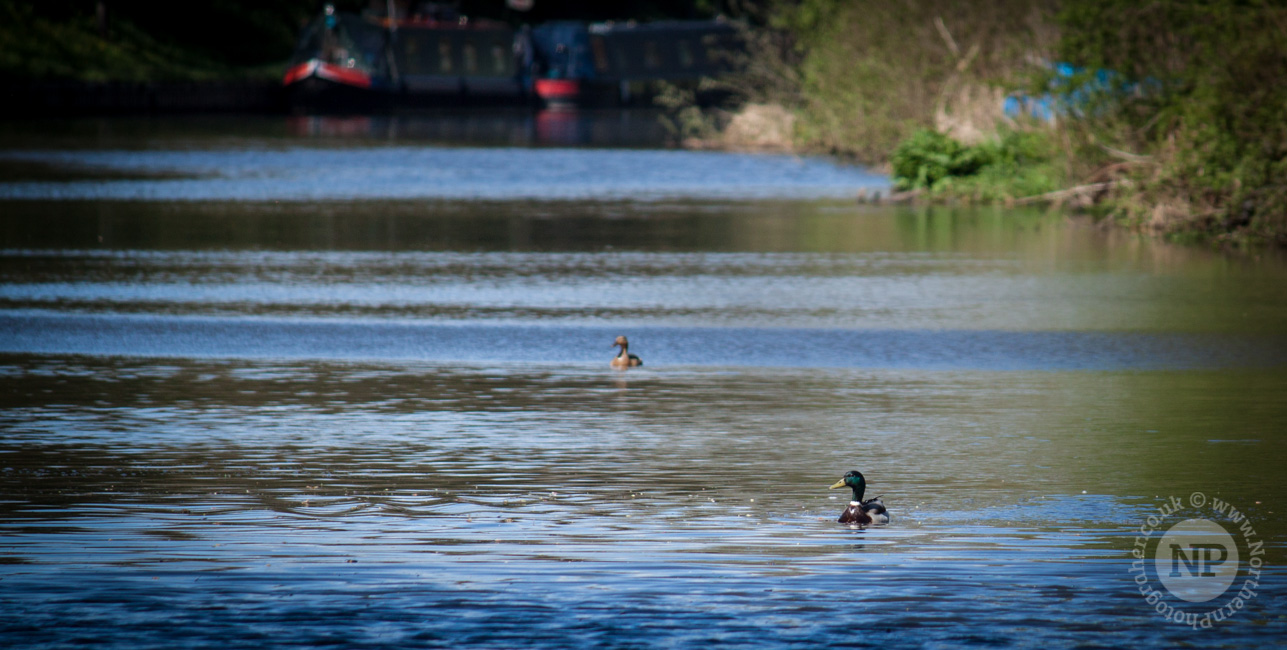 The Day We Sailed Along The Leeds/Liverpool Canal